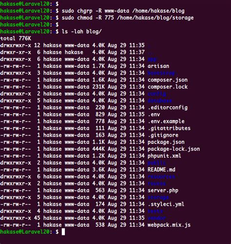 chmod 777 storage laravel|php .